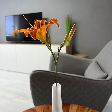 Stay!Apart Gieckau Naumburg  Esterno foto