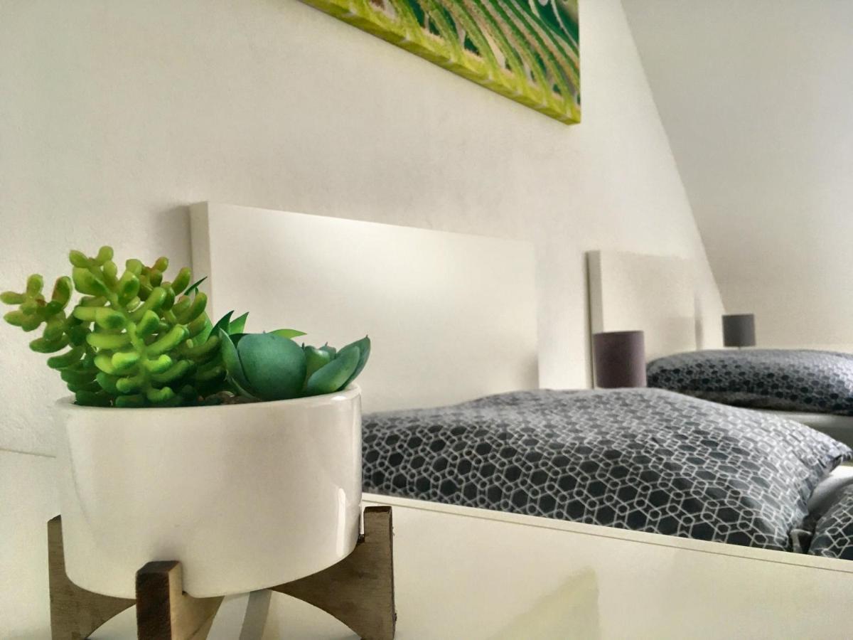 Stay!Apart Gieckau Naumburg  Esterno foto