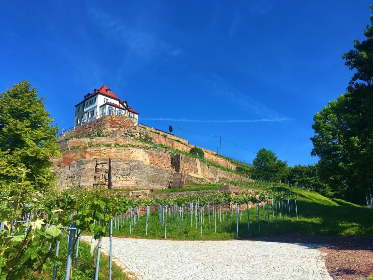 Stay!Apart Gieckau Naumburg  Esterno foto