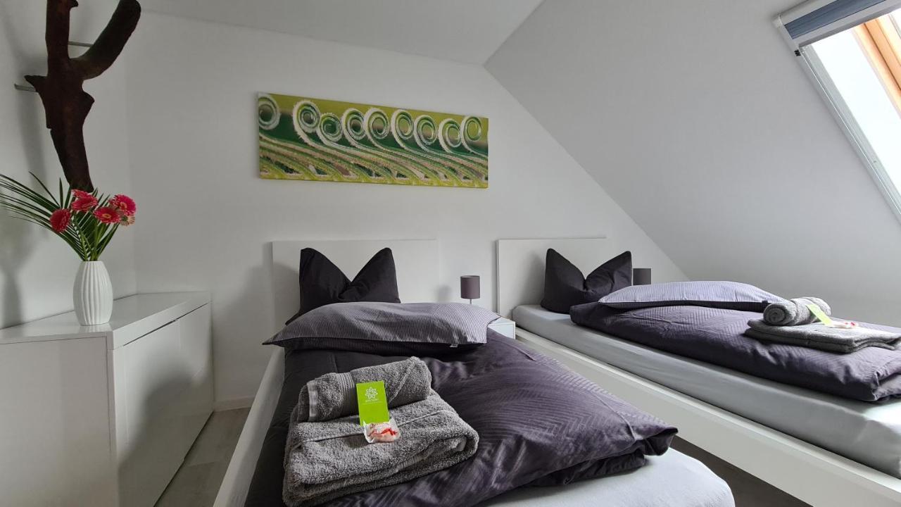 Stay!Apart Gieckau Naumburg  Esterno foto