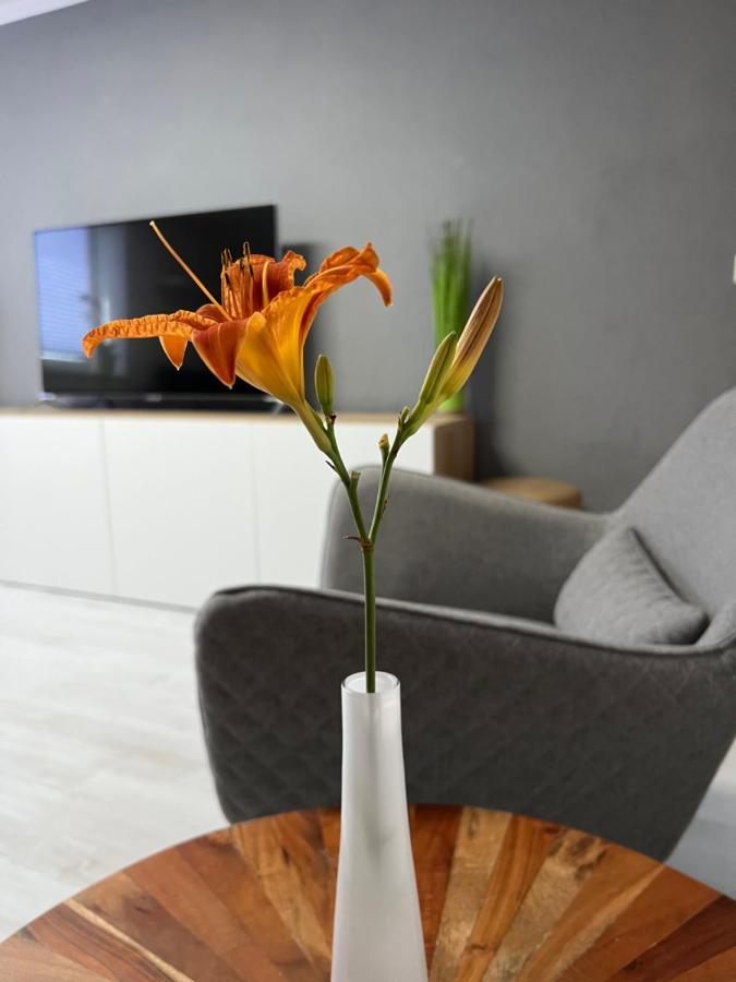 Stay!Apart Gieckau Naumburg  Esterno foto